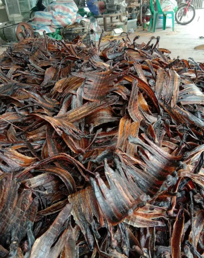 DRIED EARTHWORM SUPPLIER FROM VIETNAM BEST QUALITY BEST SELLING ITEM WITH COMPETITIVE PRICE