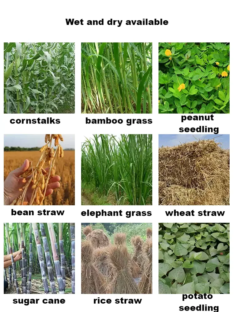Low Consumption Feed Processing Hay Straw Shredder Corn Stalk Grinder Grass Crusher Cutting Fodder Chopper Chaff Cutter Machine