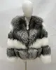 Silver fox and white fox