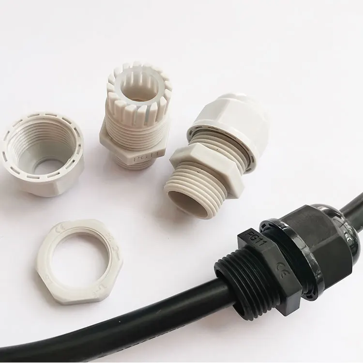 Ghiandole Perianali Del Cane: Ascesso, Infiammazione E Cure - Foto 5