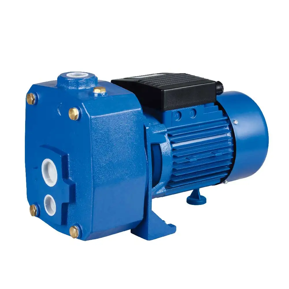Shallow Well Jet Water Pump for Household Deep Suction