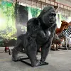 like picture