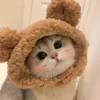 Little brown bear