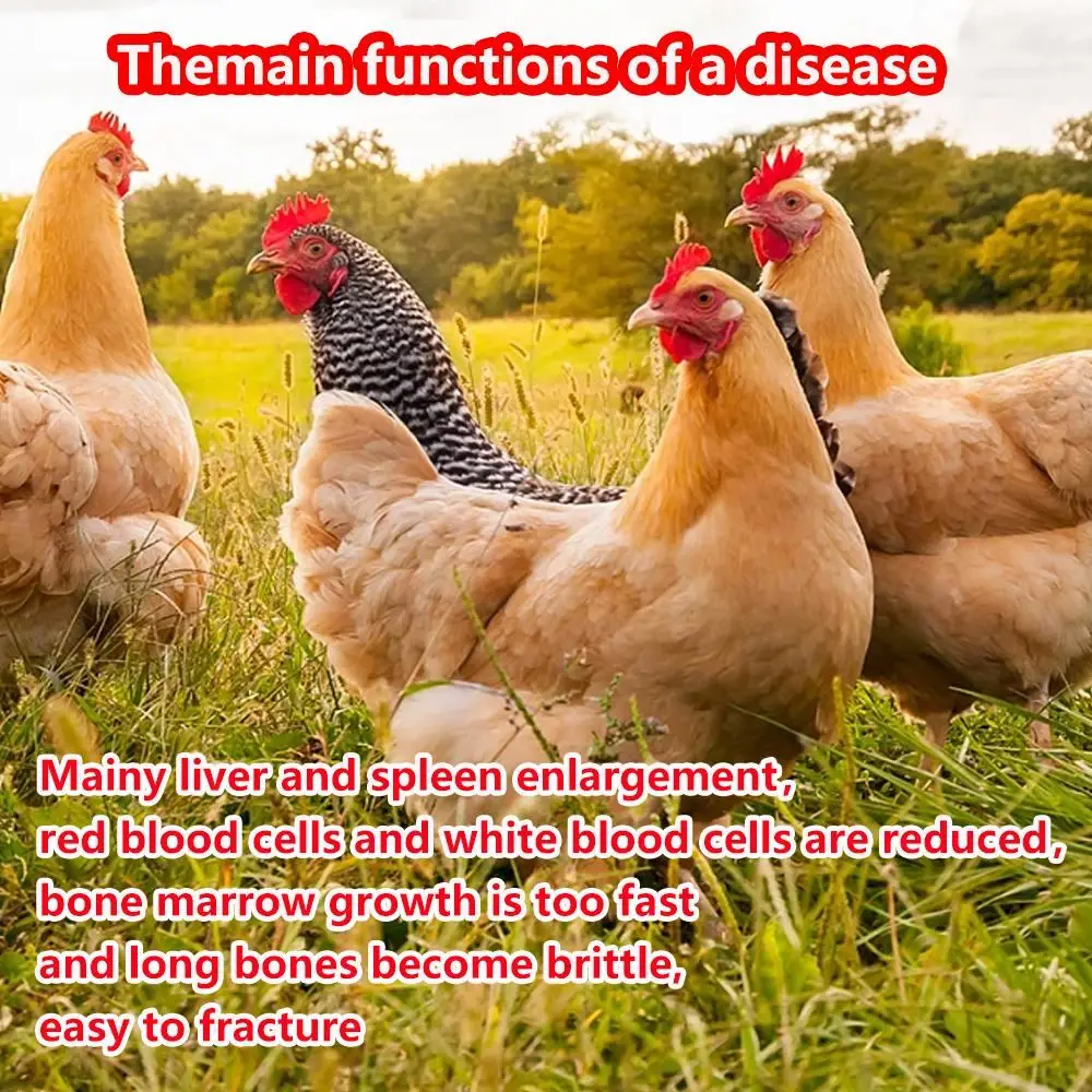 Broiler Chicken Livestock And Poultry Premix Protects Animal Health And ...