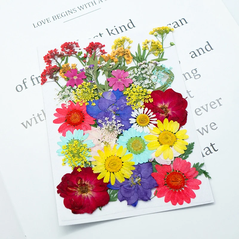 Vacoulery 134 Pezzi Fiori Secchi Per Resina Fiori Secchi Foglia Fiori Pressati Secchi Naturali Con Pinzette Per Candele Fai-da-te Gioielli Resina Partecipazioni - Foto 5