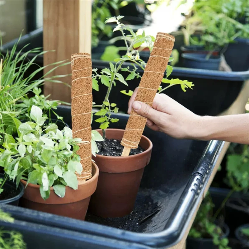 Wholesale Gardening Supplies Potted Plant Climbing Pole Coconut Pole