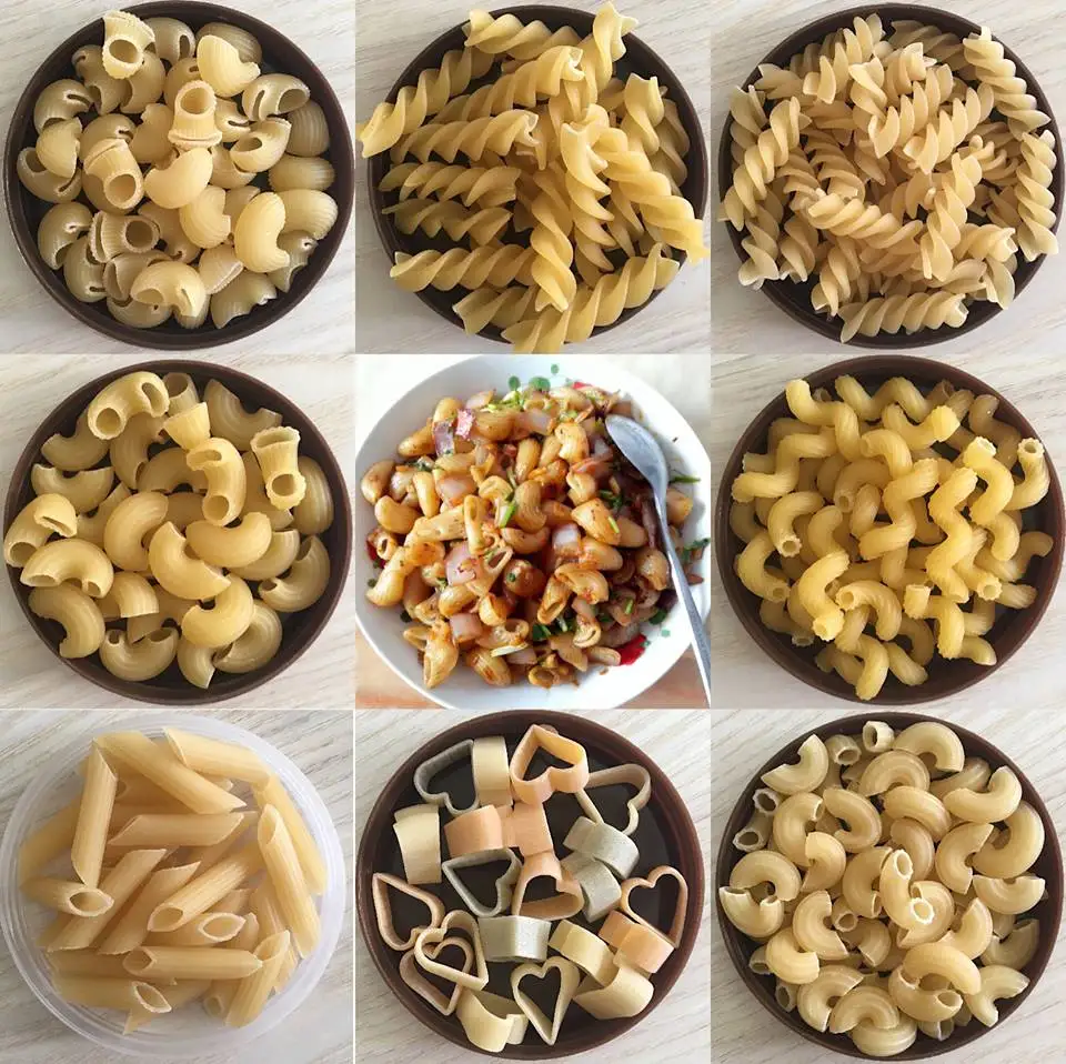 30-40kg/h Compact Macaroni Making Machine Pasta Extruder for Home-based Pasta Production