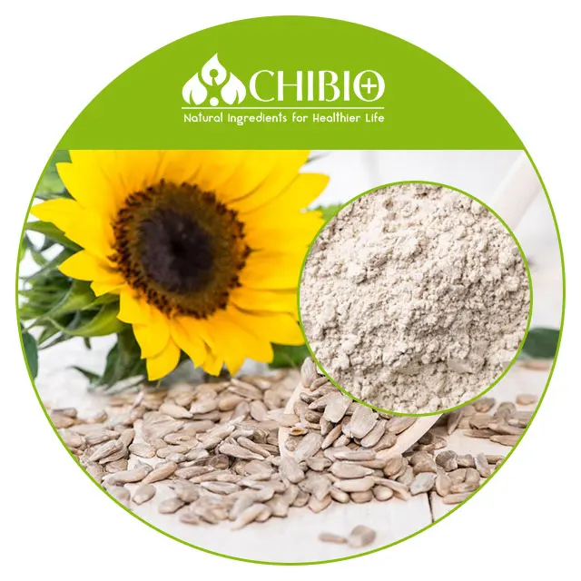 Proteína De Semilla De Girasol Orgánico De Grado Superior,Ingredientes  Naturales Puros Para Alimentos A Base De Plantas A Precio A Granel - Buy  Ingredientes Naturales Puros De Girasol Orgánico De Proteína De