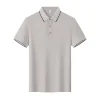 5.Sliver Gray