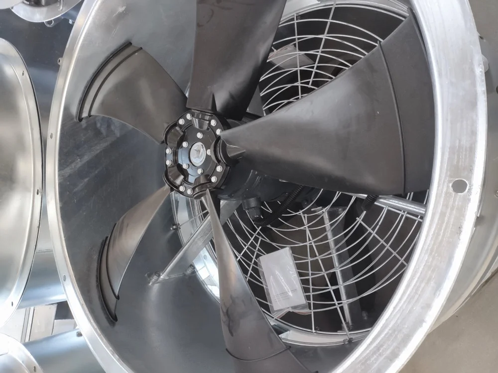 ファン・アーホルト Amazon | Spare parts スクーター オイル ポンプ ASSY 50 Dio G