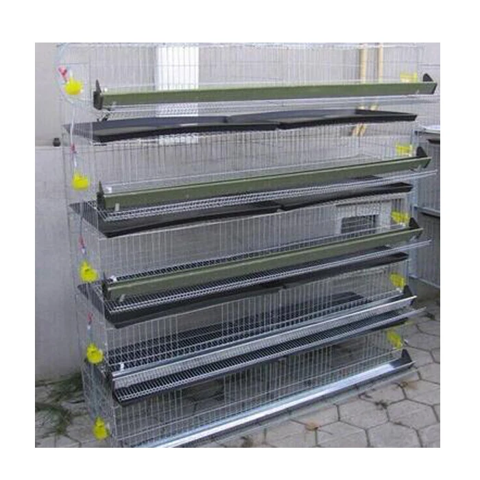 Cage For Quail Layer Egg Quail Rearing Cage Plastic Quailcagesfor