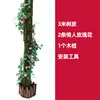 Conjunto de corteza 10