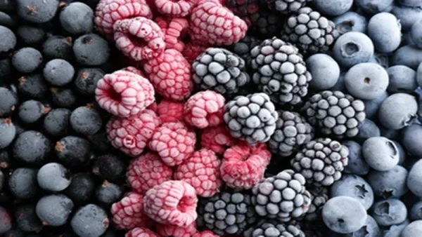 Bulk Packing Frozen Fruit IQF Frozen Mixed Berries with Blackberry Strawberry Blueberry Raspberry