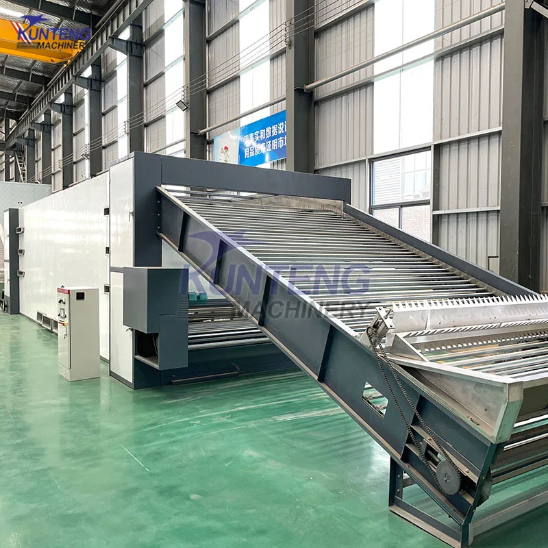 Fully Automatic Processing Line for Sea Cucumber Food Bombay Duck Anchovy Dried Fish Shrimp Drying and Packing Machine Dryer