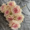 #4 nucleo rosa