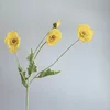 Giallo