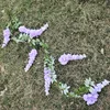 Vignes de glycine, violet clair