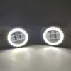Oeil d'ange blanc