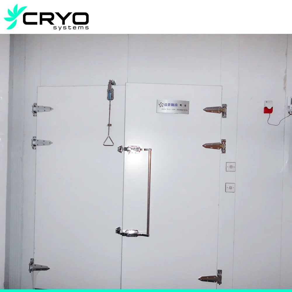 Cold Room for Poultry Meat specialized Butchery Cold Room Suitable Freezer for Cold Room