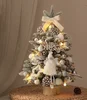 Elfe des neiges enneigé