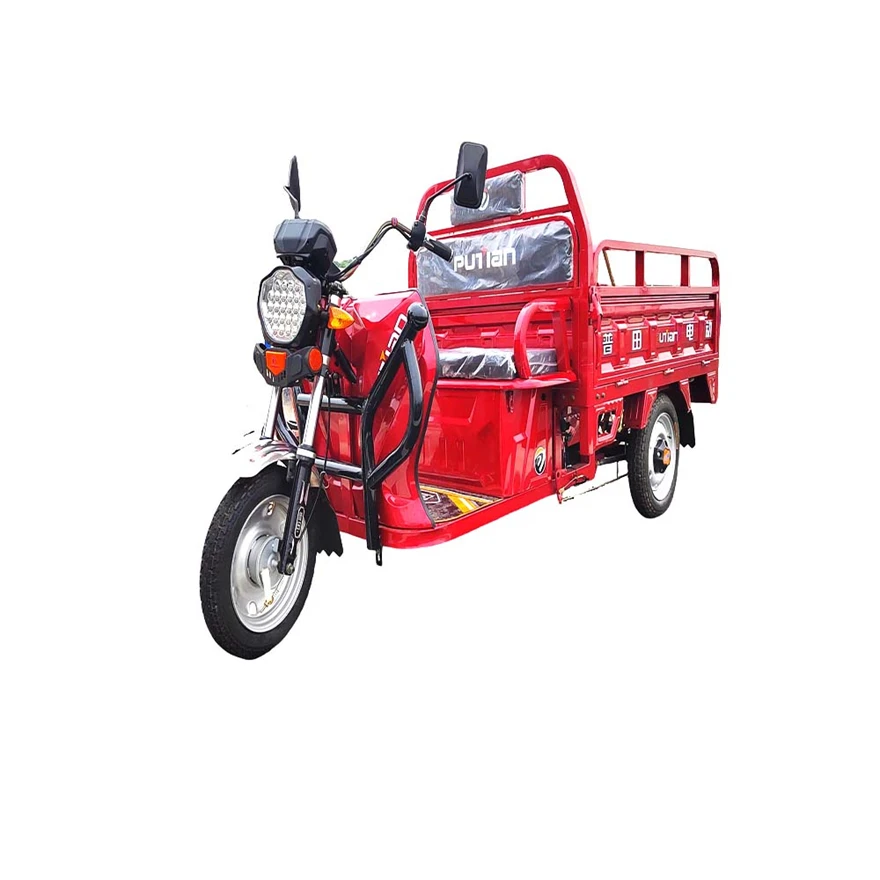 Popular Design Tricycle Off Road Vietnam Vente Tunisie Venaxio Velomobile  Trike Electric Auto-Rickshaw