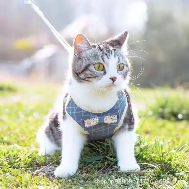 Cute Bow Design Cat Accessories Pet Clothes Lead Rope Vest Style Chest Harness Rope Leash Pets