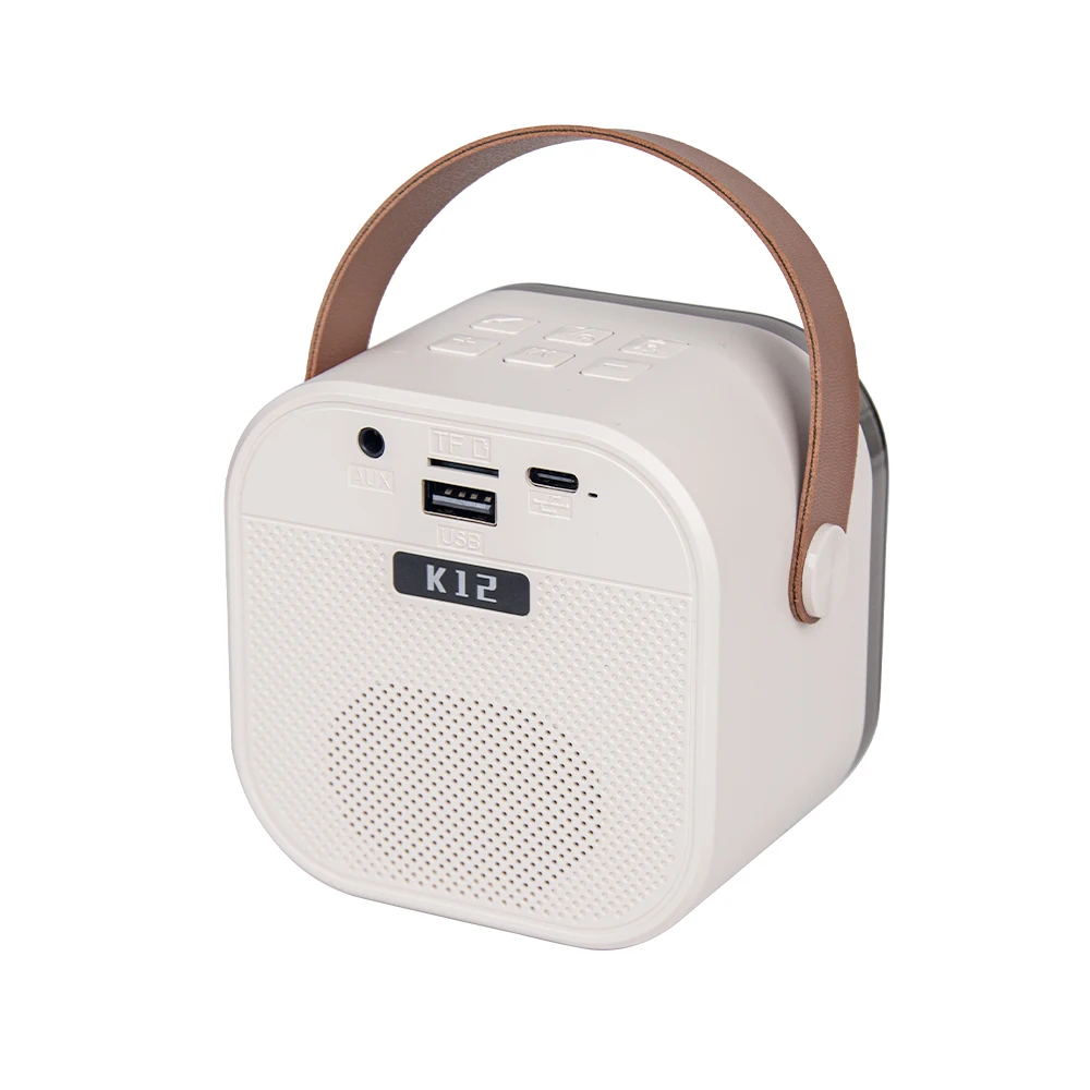 FANSBE Outdoor Portable Sound Mini Wireless Karaoke Bluetooth Speaker Wireless With 2 Microphone