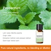 Olio essenziale di menta piperita 10ml