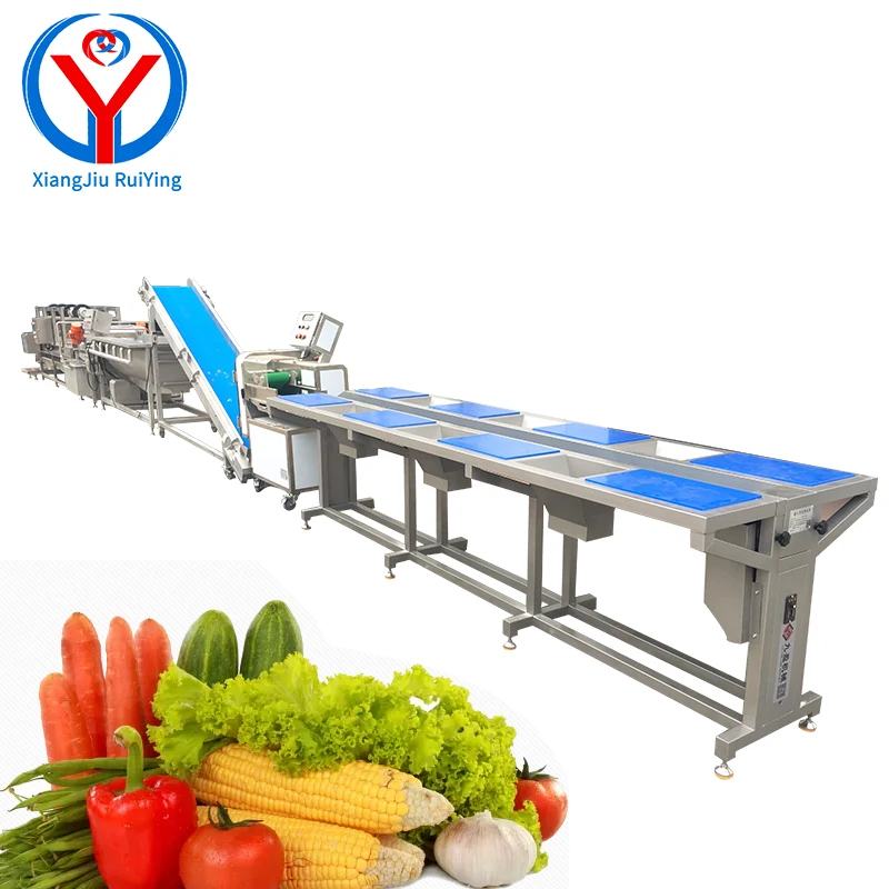 Automatic Continuous Vegetable Processing Equipment Prefabricated ...