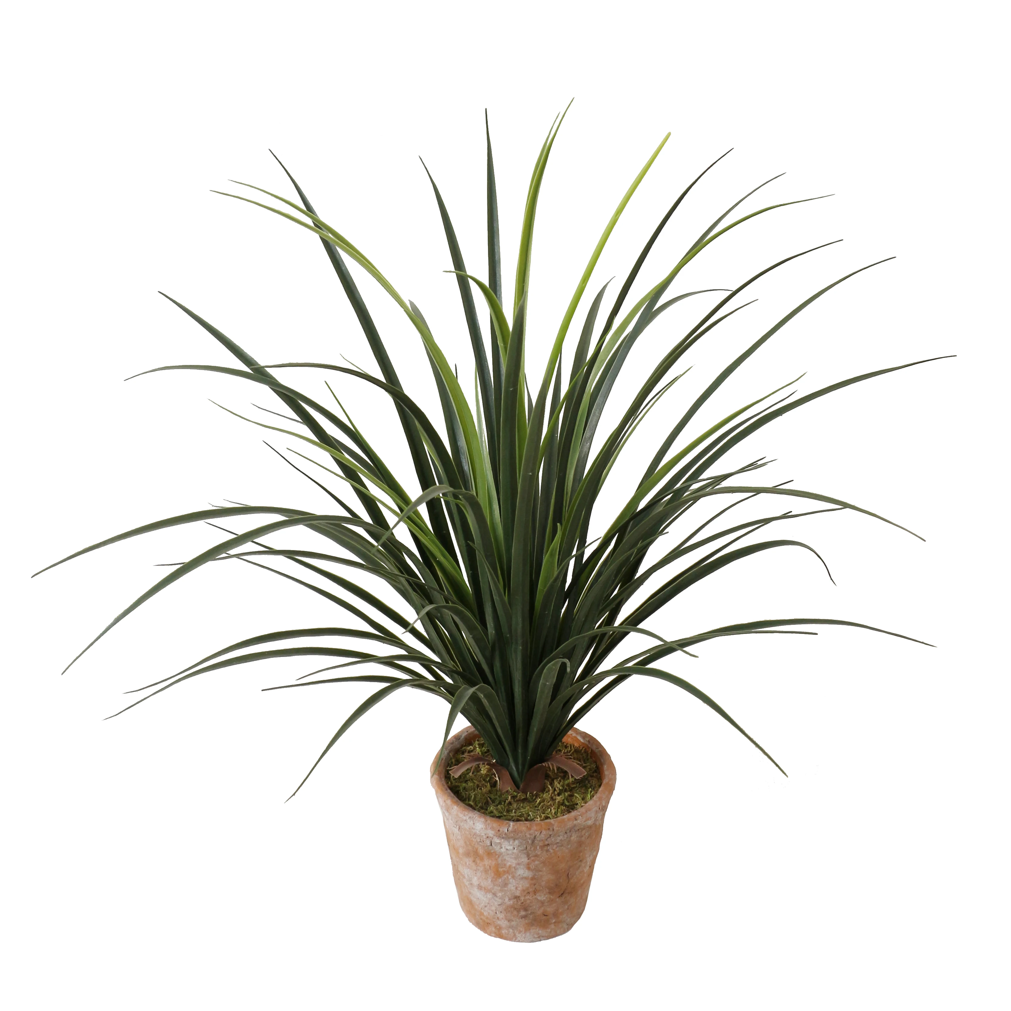 Plantas Artificiales Decorativas Para El Hogar,Árbol De Dracena Con Tacto  Real,Nuevo Diseño - Buy Decorativa De Interior 70cm De Altura Dracaena  Árbol,Barato Al Por Mayor De Alta Calidad Artificial,Plantas Artificiales  Dracaena De