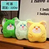 Corgi 22 centimetri