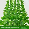 5 solid-color pothos plants with 99 leaves coated with glue