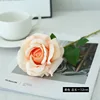 สีขาว