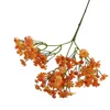 Arancione