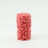 Rose Pillar Pink - No Man's Land Rose