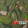 Camo à cinq feuilles