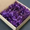 Violet foncé