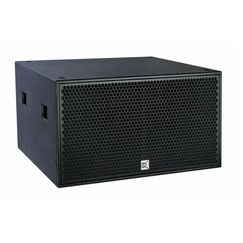 Bass sales bin speaker