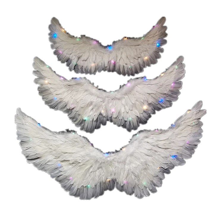 Fairy wings halloween 2022