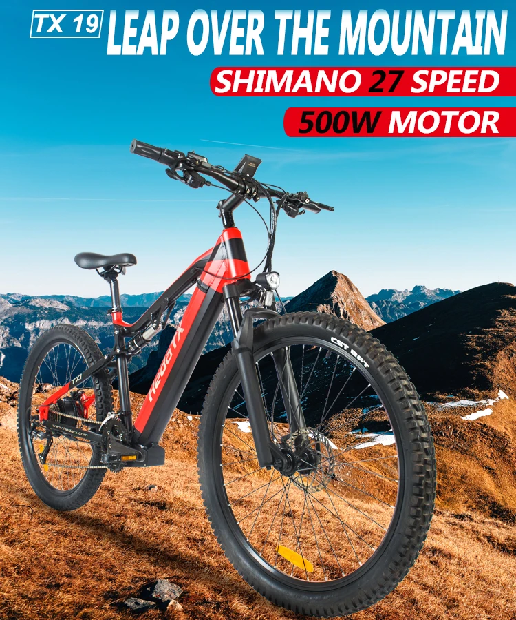 Oem Electric Bicycle 500w Full Suspension Mtb Cheap Mountain Ebike