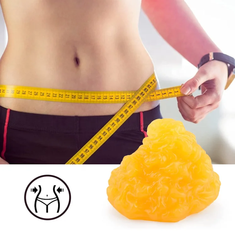 Medical Science Artificial Soft Lbs Fat Model and Human Muscle Model for Anatomy and Physiology Students CE/ISO