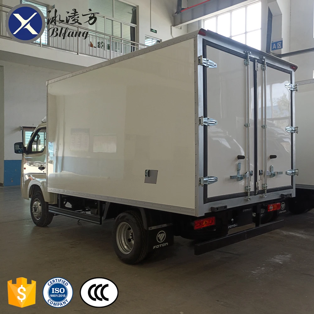 Foton 4x2 1T Mini Gasoline Refrigerator Truck Customization Transport Vegetable Meat Egg Freezer Refrigerated Truck for Sale