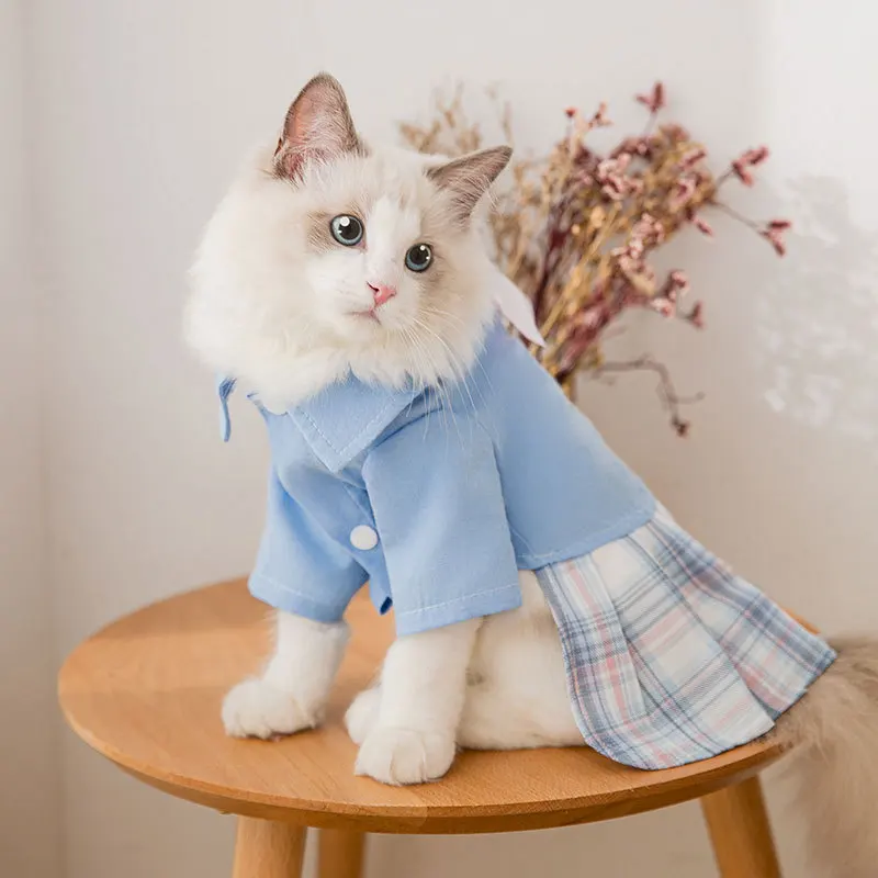 Girl clearance cat clothes