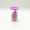 Viola