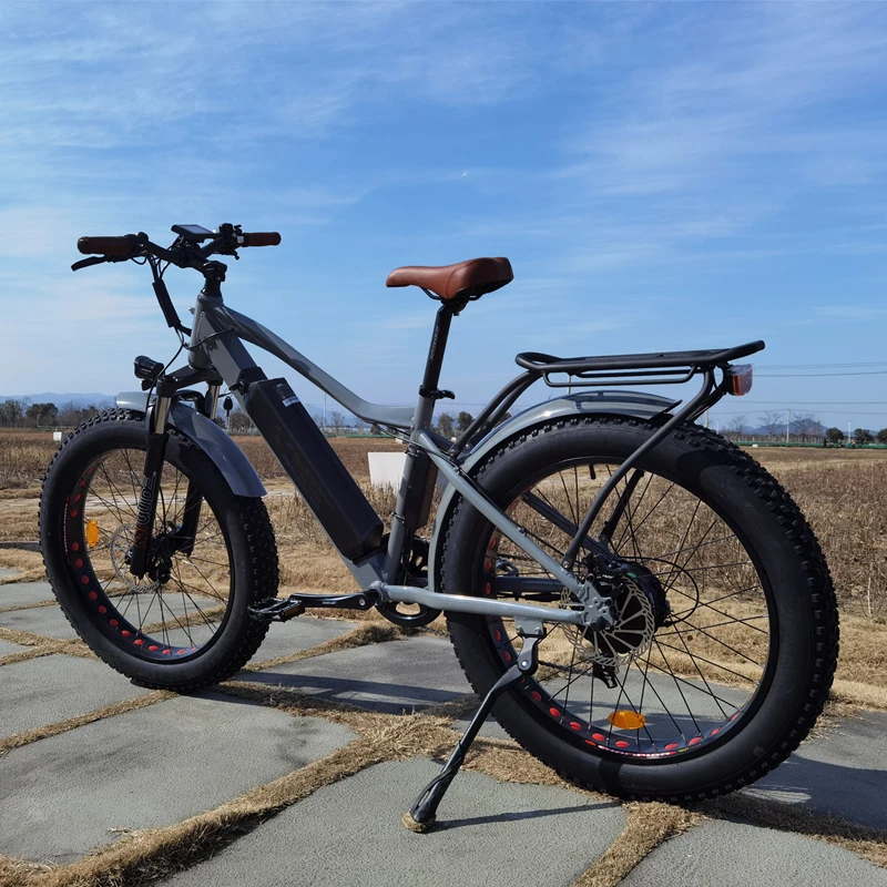 Bici Elettrica Copertoni Strada Per Mtb Mountain Bike Elettrica 26