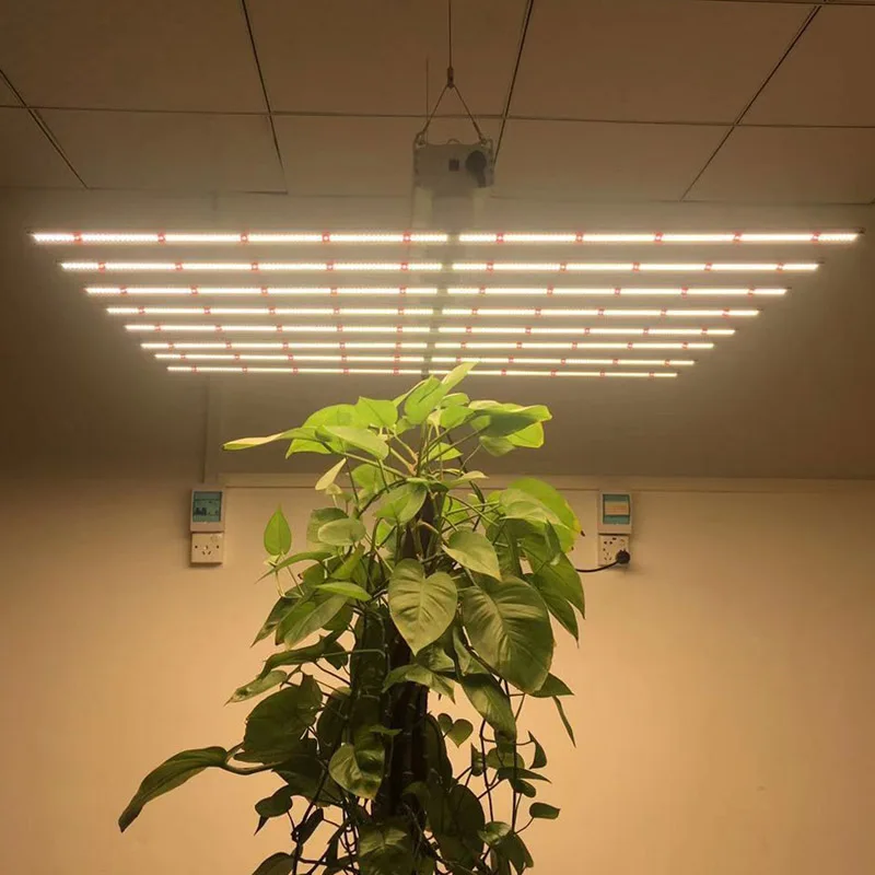 growers choice removeable indoor garden plant light led horticulture lighting 8bar 10 bar grow led 640w vertical grow light