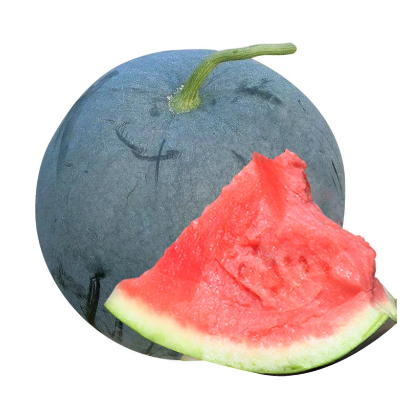 seedless hybrid watermelon seeds with black peel and red pulp and easy to grow