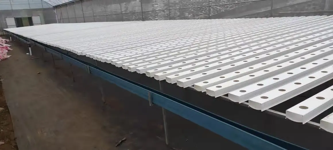 Hydroponic Planting