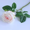 rosa chiaro