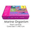 Marine Organism  Ring Flash Cards